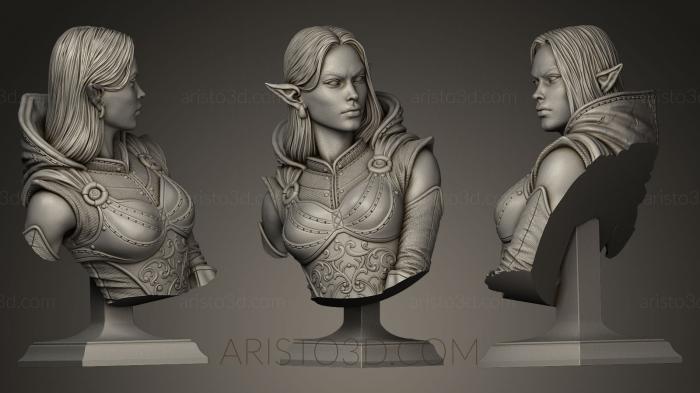 Busts of heroes and monsters (BUSTH_0217) 3D model for CNC machine
